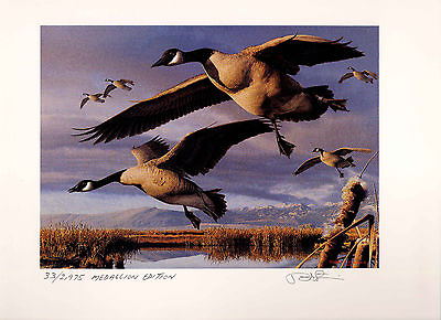 #ad OREGON #16 1999 STATE DUCK STAMP PRINT Med Ed 2 stamps by Robert Steiner
