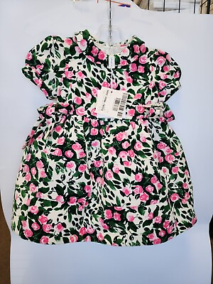 #ad Simonetta infant velvet floral dress NWT