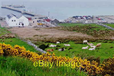#ad Photo 6x4 Meenlaragh Hillside and pier Photo was taken from the side of c2008