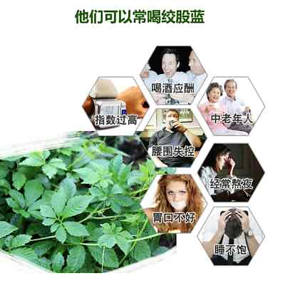 #ad 200g Premium Quality Herbal Tea JiaoGuLan Tea 庸城湖南绥宁绞股蓝茶 野生嫩叶降压抗衰养生茶 200g