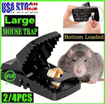 #ad 2 4pcs LARGE Mouse Traps Rat Mice Rodent Killer Snap Trap Reusable Heavy Duty