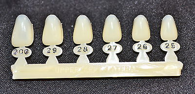 #ad #10 Upper Left Lateral tooth Dental Polycarbonate Temporary Crowns 6 sizes