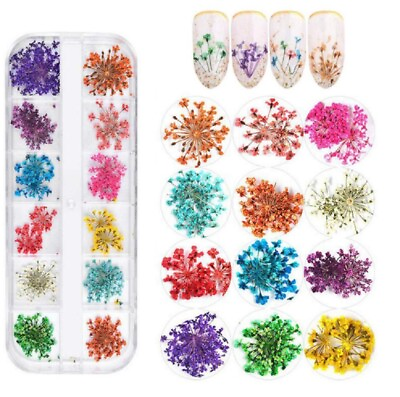 #ad 12 Color Real Dried Flowers Nail Art Set 3D Decors DIY Manicure Tips Box