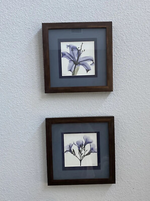 #ad Shadow Box Frame Gray Blue Art Print Set Of 2 Dark Brown Framed Square 11.5 Sq