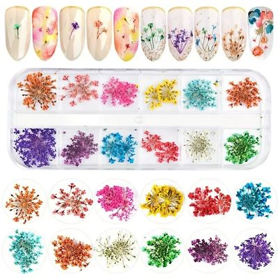 #ad 12 colors Dried Flowers for Nail Art Real Natural Flowers Applique Decoration