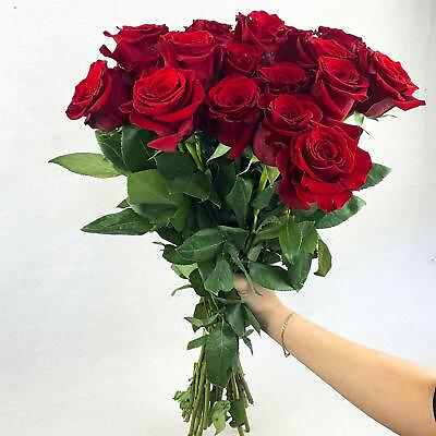 #ad 50 Fresh Roses delivered to your door Freedom Red