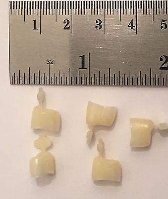 #ad Dental Polycarbonate Temporary Crowns 5 pcs #44 $2.95