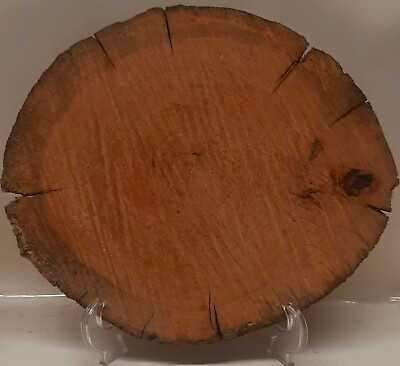 #ad Ohio Live Edge Wood Slab Round Slice Cherry Charcuterie Natural Woodworking