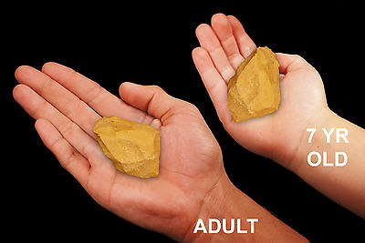 #ad YELLOW JASPER 1 1 2quot; Set of 2 Rocks and Minerals Specimen Solar Plexus Chakra