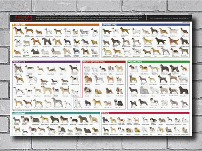 #ad K 085 Collage Dog Breeds The Diagram Dog Fabric Poster 20x30 24x36