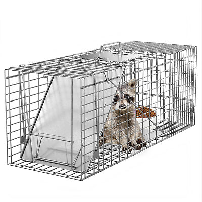 #ad 32quot; Live Large Animal Trap Humane Raccoon Cage Spring Loaded Folding w Iron Door