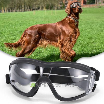 #ad Dog Sunglasses Medium to Large Dog UV Transparent Goggles Windproof Anti Dust US