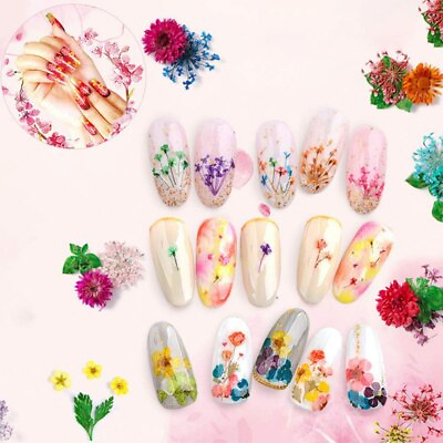 #ad Real Dried Flowers 3D Nail Art Decors Design DIY Tips Manicure Box 48 Colors Set $12.58