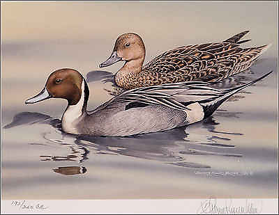#ad ALASKA #15 1999 STATE DUCK STAMP PRINT NORTHERN PINTAILS Sherrie Russell Meline