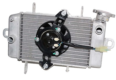 #ad NOS Radiator Assembly With Fan Fits Yamaha YZF R15 Version 1 V1 models GEc