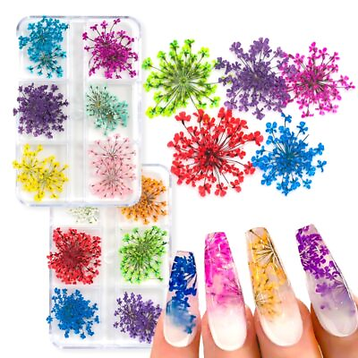 #ad 12Pcs box 3D Dried Flowers Nail Real Dried Flower Stickers DIY Manicure Designs $18.76