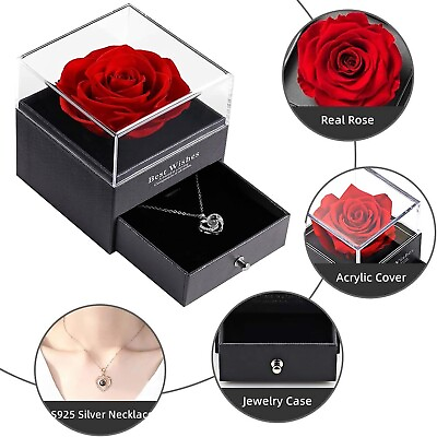 #ad Preserved Rose with 925 Silver I Love You Necklace in 100 Languages