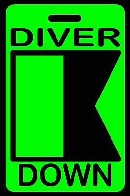 #ad Hi Viz Green Personalized quot;Diver Downquot; Alpha Flag Luggage Gear Bag Tag