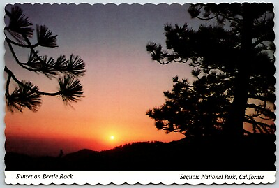 #ad Sunset at Beetle Rock Sequoia National Park California Postcard
