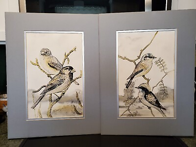 #ad Original Multimedia Wildlife Art Prints of Birds In Matt Frames Signed Set Of 2
