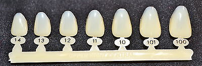 #ad #8 Upper Right Central Anterior Dental Polycarbonate Temporary Crowns 7 sizes $12.95