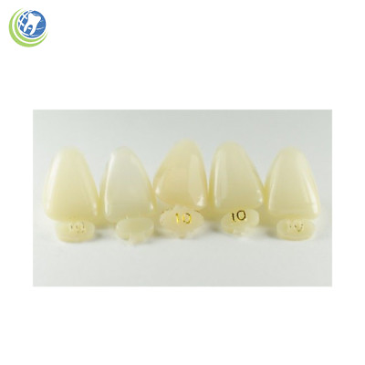 #ad DENTAL POLYCARBONATE TEMPORARY CROWNS #10 URC UPPER RIGHT CENTRAL 5 PACK $7.25