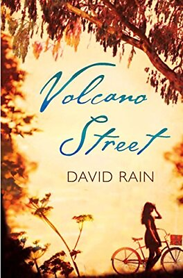 #ad Volcano Street by Rain David Paperback softback Book The Fast Free Shipping $10.89