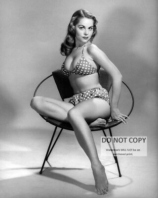 #ad DIANE WEBBER MODEL AND ACTRESS PIN UP 8X10 PUBLICITY PHOTO DD694