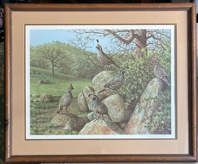 #ad RARE Framed Signed amp; Numbered Quails by Owen J. Gromme Limited Edition Print EUC