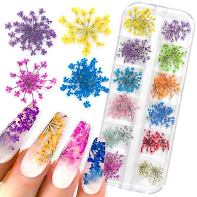 #ad 3D Dry Flower Nail Real Mini Dried Blossom Natural Floral Designs DIY Nail Decor