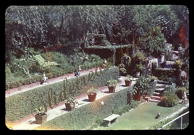 #ad Gnome Garden California Olympic Drive 1950s 35mm Slide