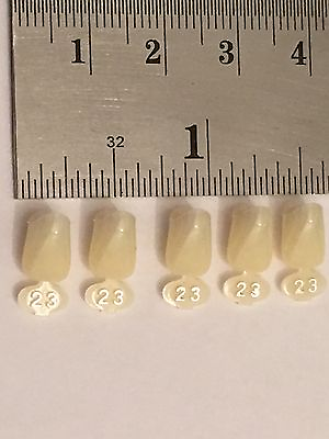 #ad Dental Polycarbonate Temporary Crowns 5 pcs #23 $2.99