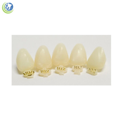 #ad DENTAL POLYCARBONATE TEMPORARY CROWNS #102 ULC UPPER LEFT CENTRAL 5 PACK