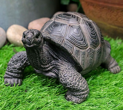 #ad Ebros Lifelike Galapagos Tortoise Statue 6.5quot; Wide Lucky Zen Turtle Figurine $32.99