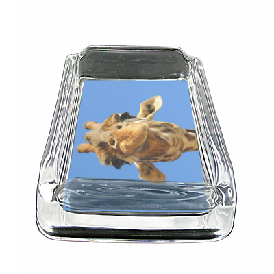 #ad Funny Face Animals D6 Square Ashtray 4quot; x 3quot; Smoking Cigarette