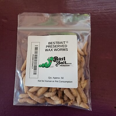 #ad Bestbait Preserved Waxworms Grubs 50 ct. per pack Natural Color wax worm
