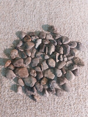 #ad Premium Small 1quot; Petoskey Stones Unpolished Authentic Lake Michigan Fossils