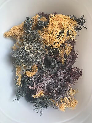 #ad 3 lbs Bulk Organic Purple Mix color Sea Moss 48ozs 1 dry oz makes 32 oz gel
