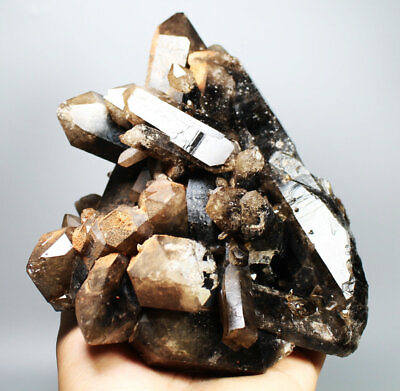 #ad 4.14lb Natural Rare Beautiful Black QUARTZ Crystal Cluster Mineral Specimen