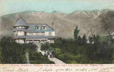 #ad Picking Flowers Pasadena California CA Mt. Wilson Snow 1907 Postcard