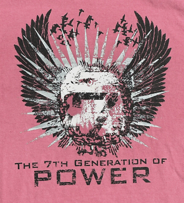 #ad Vintage Authentic Pigment Pink T Shirt Eagle 7th Generation of Power L