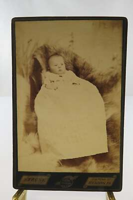 #ad Baby in Chair On Fur Throw Antique Cabinet Card Strunk Reading PA $5.53
