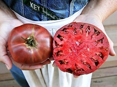#ad 120 Cherokee Purple Tomato Seeds Heirloom Non GMO FRESH