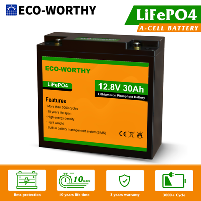 #ad ECO WORTHY 12V 30Ah LiFePO4 Li Battery 384Wh 3000 cycles for RV Boat