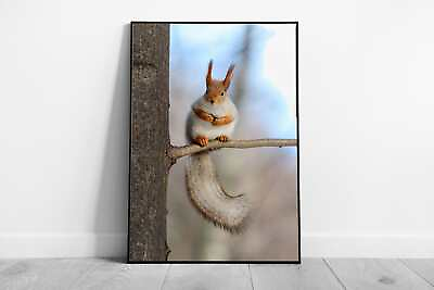 #ad Cute Red Squirrel With Fluffy Tail Perched On A Tree Branch On A Sunny Winters