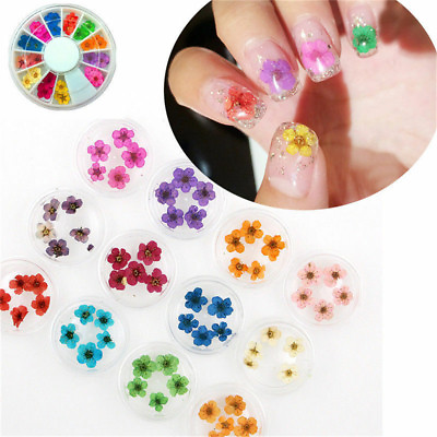 #ad 12 Colours 3D Nail Art Dried Dry Flowers Wheel Gel False Nails Tips Manicure DIY