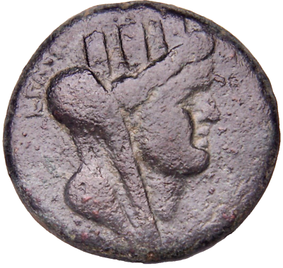 #ad DECAPOLIS Philadelphia. Domitian. AD 81 96. Æ Splendid Judaea Roman Coin w COA