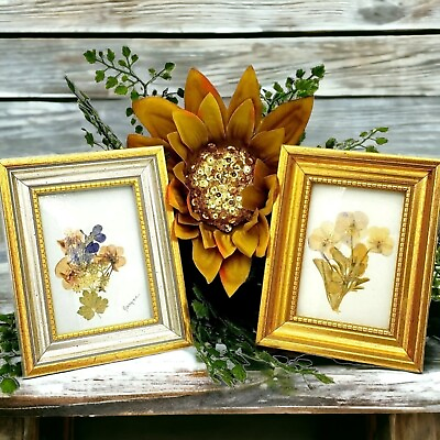 #ad Set Of 2 Miniature Art In Silver Gold Frames Signed Botanical Florals