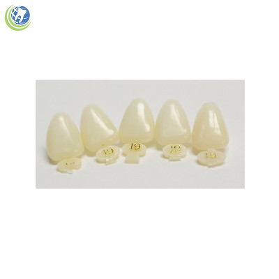 #ad DENTAL POLYCARBONATE TEMPORARY CROWNS #19 ULC UPPER LEFT CENTRAL 5 PACK