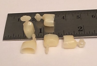 #ad Dental Polycarbonate Temporary Crowns 5 pcs #54 $2.95